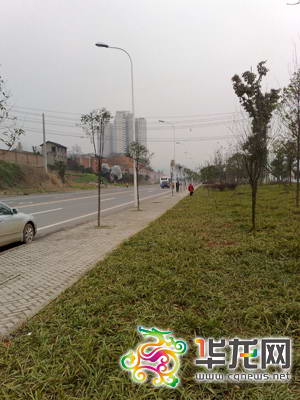 事发路段 何青枚摄