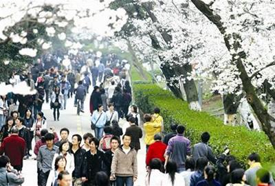 参观樱花的人潮