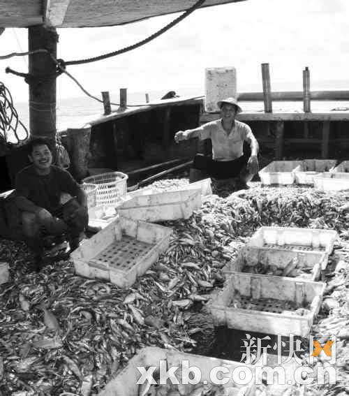 在南沙海域从事捕捞的中国渔民大多还是能够赚到钱的。范如石/摄