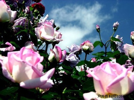 周末不休息来个经典京郊游 挑个好线路去实践